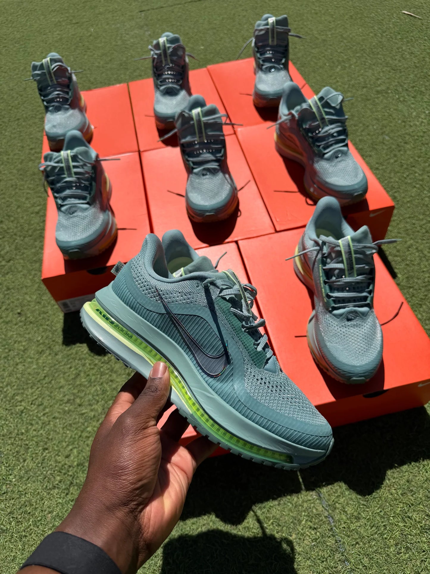 Nike Pegasus Premium ( vert cannon )