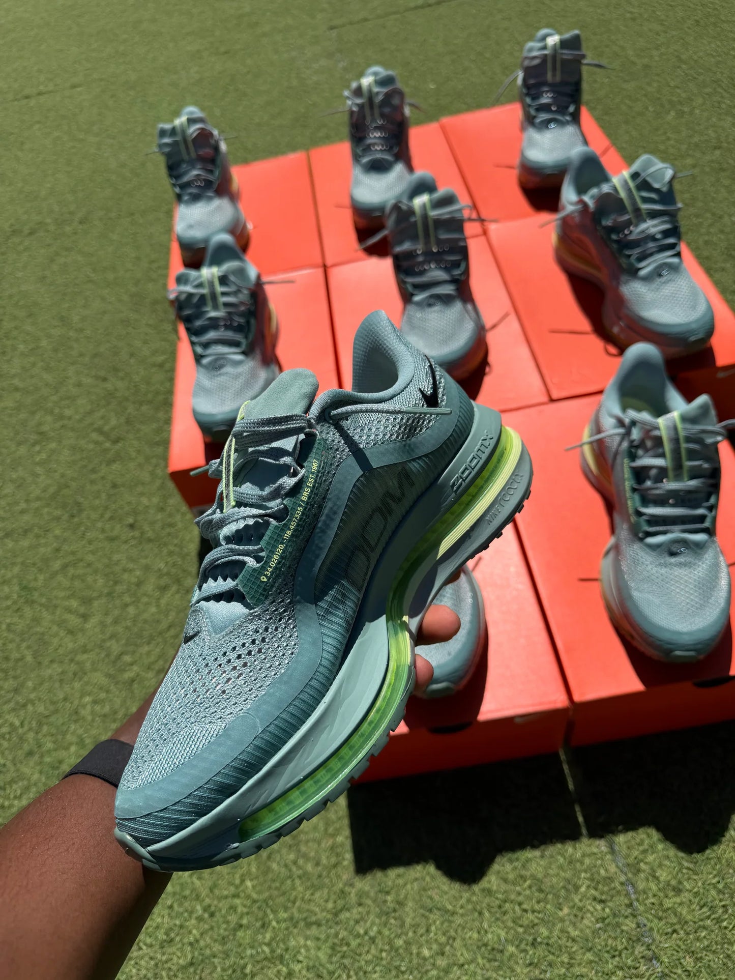 Nike Pegasus Premium ( vert cannon )