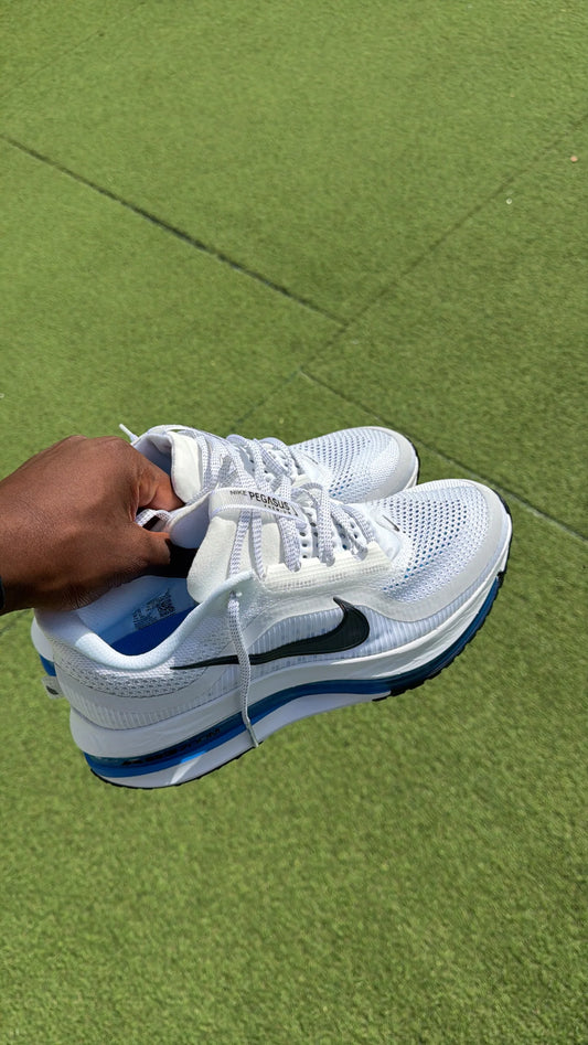 Nike Pegasus premium White / blue