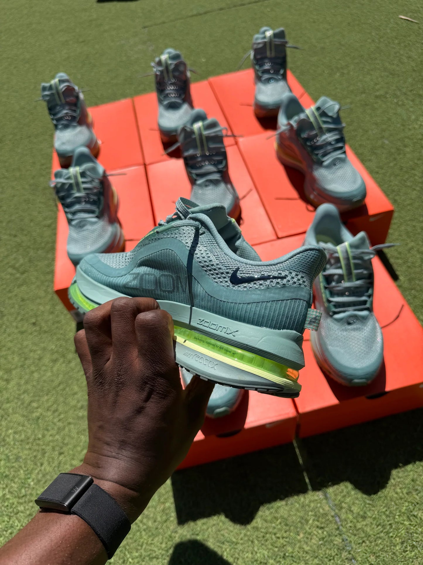 Nike Pegasus Premium ( vert cannon )