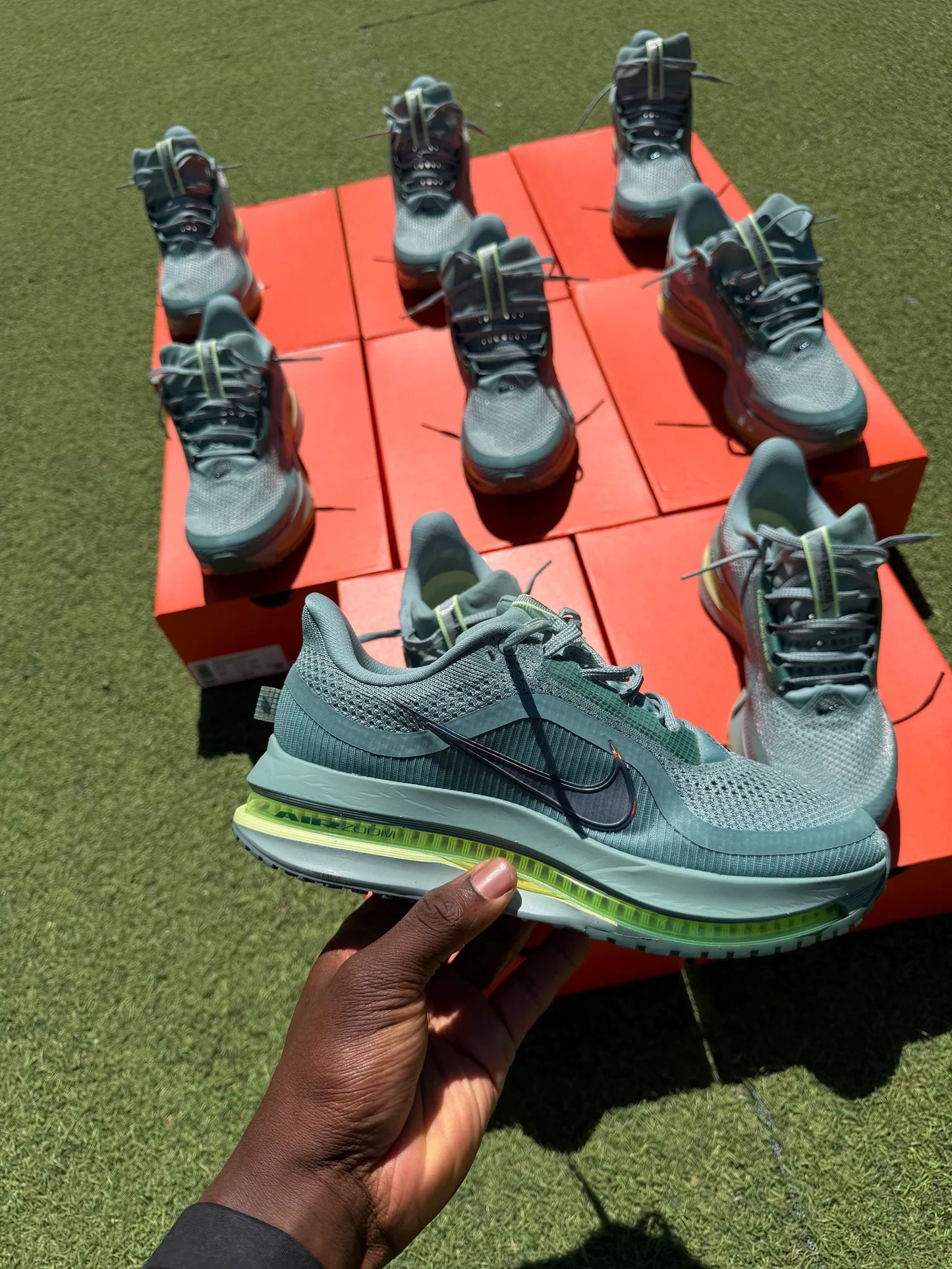 Nike Pegasus Premium ( vert cannon )